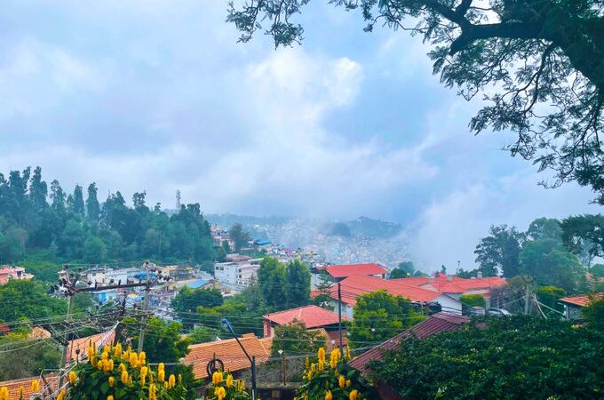 Kodaikanal Park And Valley Tour